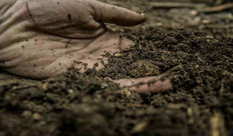 Skapelsen av mennesket og inkarnasjonen av Kristus