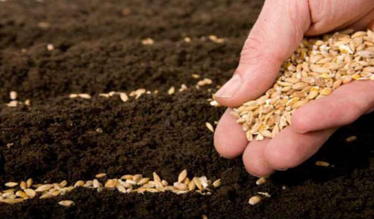 De rettferdige vil leve av tro