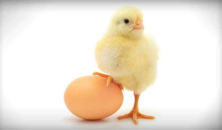 O que vem primeiro: o arrependimento ou a fé?