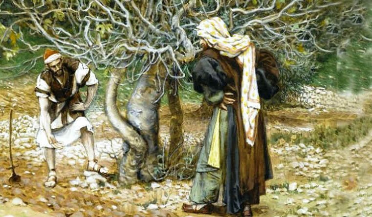 A figueira estéril na vinha