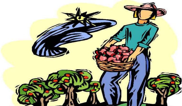 Arrependimento e fruto