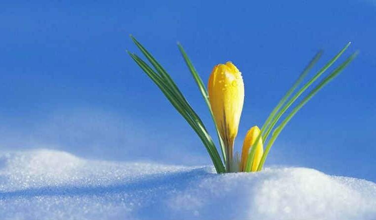 Como obter a Santificação?