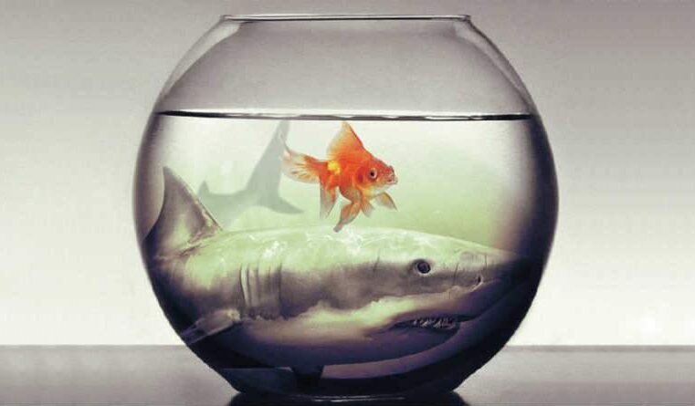 O reino dos céus, os ricos e os pobres