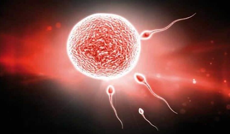 Duas portas, dois caminhos