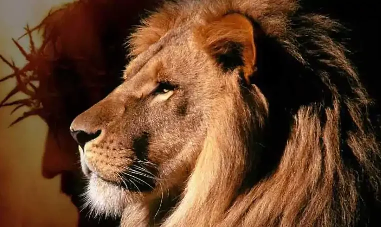 Por que Deus perdoou Davi e rejeitou Saul?