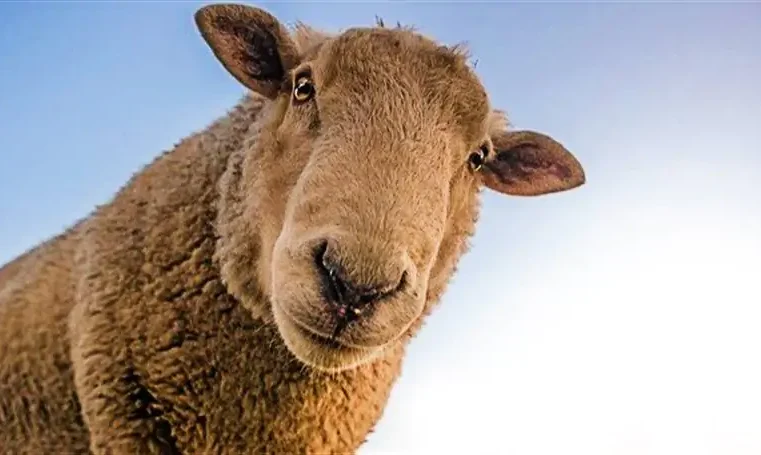 Romanos 4 – Abraão não duvidou da promessa de Deus